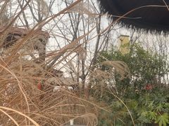 -太白山御龙湾温泉