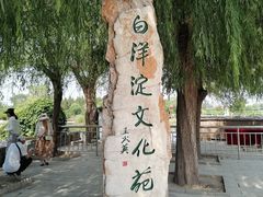 -白洋淀景区