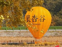 -千年银杏谷文化旅游区