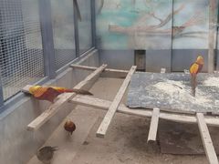-龙口动植物园
