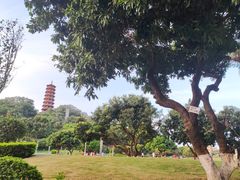 -红花山公园