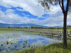 -野鸭湖国家湿地公园