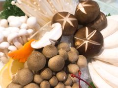 珍菌组合-罗浮宫酒店