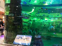 -尚泰清迈机场购物中心