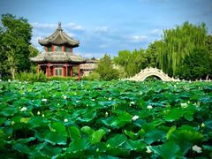 -莲池书院博物馆