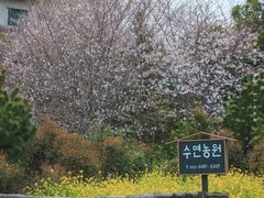 -柱状节理带