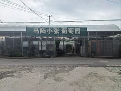 -马陆小张葡萄园农家乐