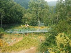-鸡冠洞风景区