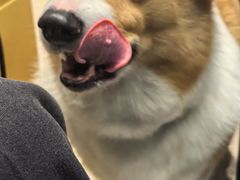 -常识咖啡common sense(春熙路店)