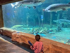 -华夏文旅海洋公园