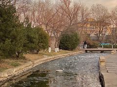 -三里河公园