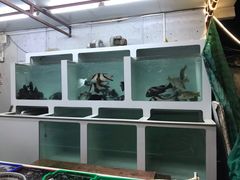 -南蚝小贝海鲜特色餐厅(南澳岛店)