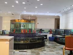 -龙悦湾酒家·八阵鱼生·渔人码头店