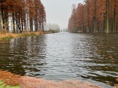 -渌洋湖湿地公园