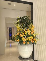 -奥斯芬欧系贵族SPA