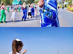 -荷兰花海