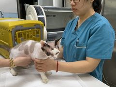 -中农国际动物医院24小时·猫科·骨科·急重症中心