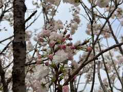-观澜湖生态运动公社