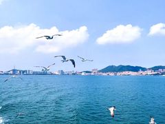 -长岛南北长山旅游景区