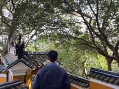 -普陀山慧济禅寺