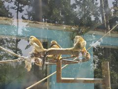 -秦皇岛野生动物园
