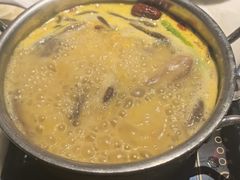 -东道煮牛肉火锅(东盛大街店)