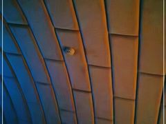 -金紫荆松骨休闲水会