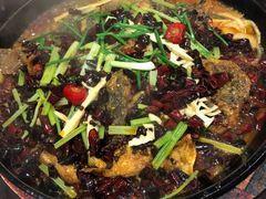 -老板恋上鱼(环山路店)