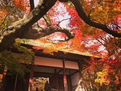 -常寂光寺