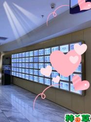 -维秘形体医美 M·VVON医生集团