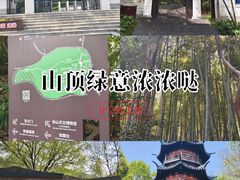 -上海佘山国家森林公园西佘山园