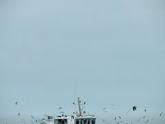 -海驴岛(荣成市)