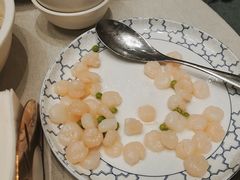 -新吉士·上海菜(浦东LCM置汇旭辉店)