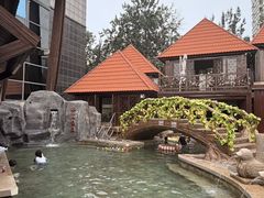 -裕龙汤泉