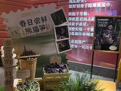 -巴奴毛肚火锅(广益哥伦布店)