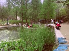 -白水寺森林公园