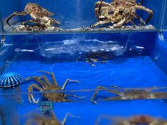 -船梆煮•蒸汽海鲜·炉火烤肉(五四广场店)