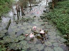 -白沙门生态公园