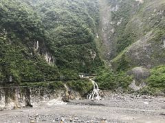 -太鲁阁公园
