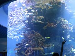 -多彩贵州城极地海洋世界