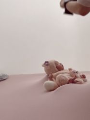 -玛瑞莎·儿童·亲子摄影(越秀店)