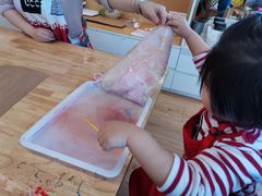 -UCCA Kids 儿童美育