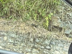 -山王坪喀斯特国家生态公园