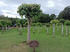 -三亚南山文化旅游区