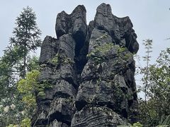 -梭布垭石林景区