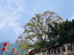 -新安江山水画廊风景区