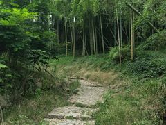 -宁波浙东大竹海景区