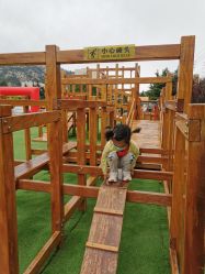 -童心园麦窑·儿童拓展探宝乐园