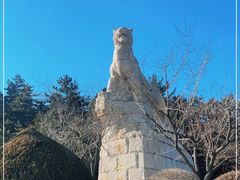 -帽儿山国家森林公园