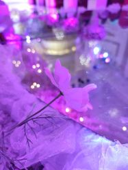 -谛融婚礼酒店·宴会厅(花园店)